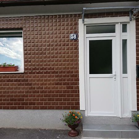 Apartman Sara Vl. Franjo Klasic クラピナ エクステリア 写真