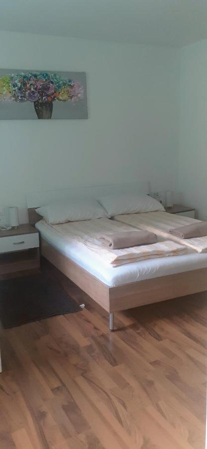 Apartman Sara Vl. Franjo Klasic クラピナ エクステリア 写真