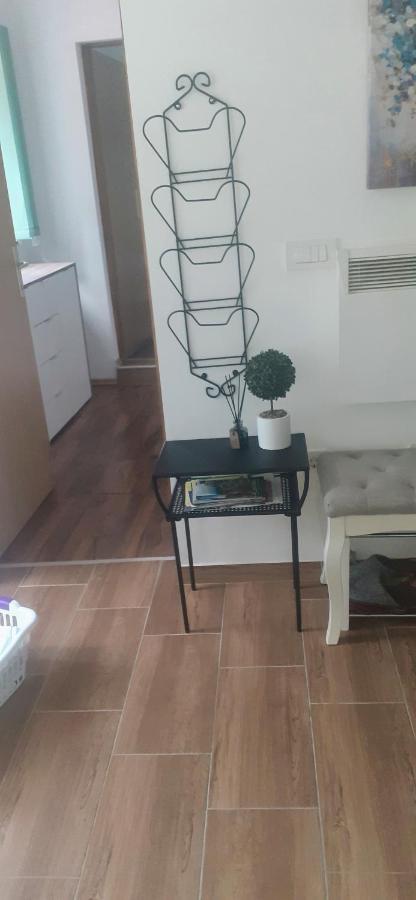 Apartman Sara Vl. Franjo Klasic クラピナ エクステリア 写真