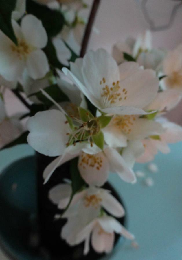 Apartman Sara Vl. Franjo Klasic クラピナ エクステリア 写真